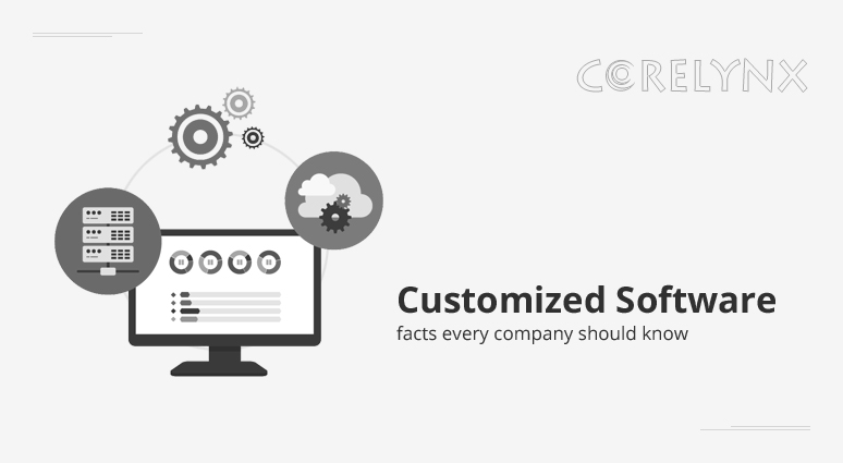 Customized software: facts every company should know